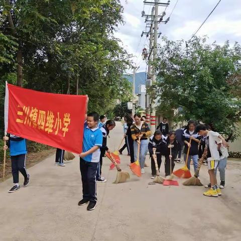 爱国卫生，我们在行动--记四维小学爱国卫生活动