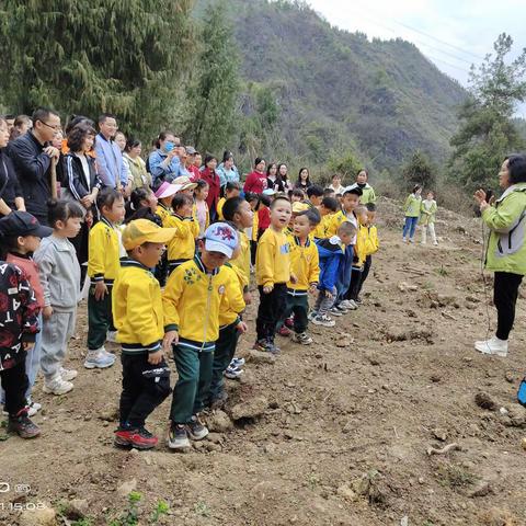 期待绿水青山，呼唤你们为环境做点啥---镇远县机关幼儿园2023年3.12植树活动倡议书