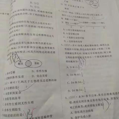 作业