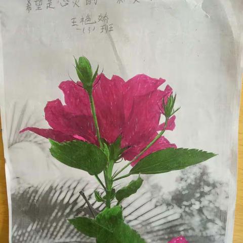 一(3)班     感恩系列之《感恩成长》