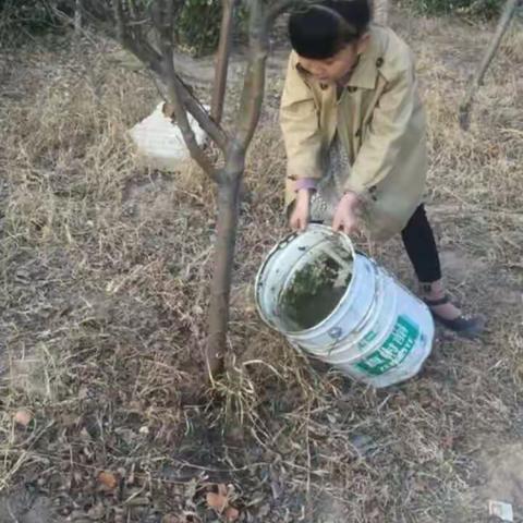 一(3)班感恩活动一一相约春天感恩自然