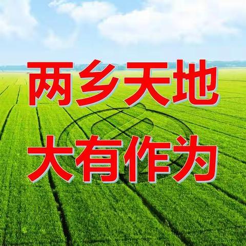 昌吉分公司农网网点实地调研