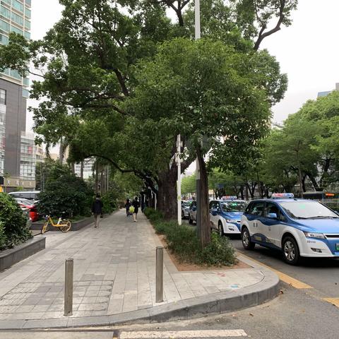 春江水暖，文旅灯光后知