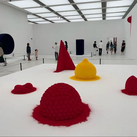 见·所未见 | 卡普尔、特瑞尔与teamlab