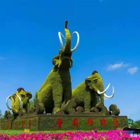 “非常假期   健康成长”（学生篇）