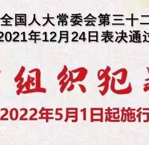 了解《反有组织犯罪法》 共建平安家园