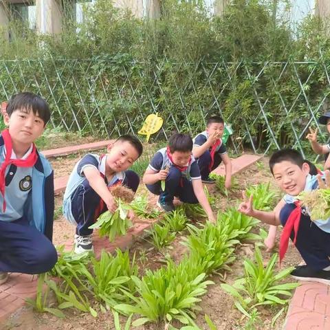 播撒希望，收获成长