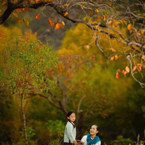 学习伴我教师路