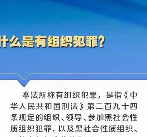 图解《中华人民共和国反有组织犯罪法》