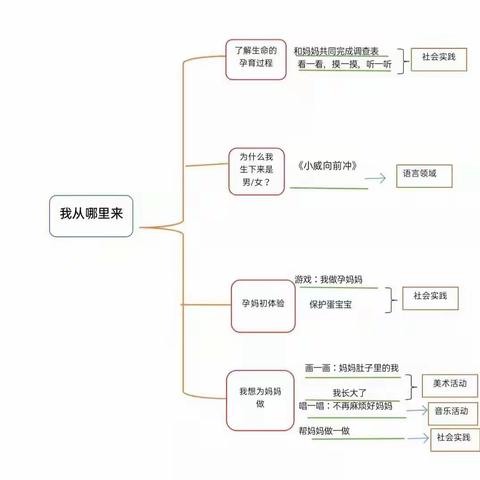 《我从哪里来》中一班班本课程