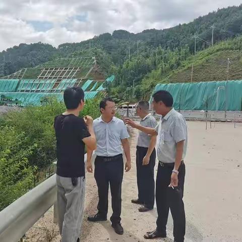 县重大基础设施项目建设指挥部到我镇查看联三线建设情况
