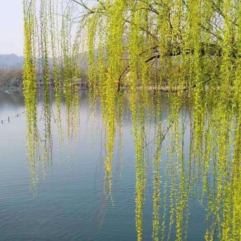 别样的结业典礼