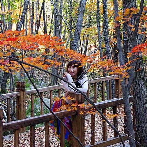 流光溢彩的秋影