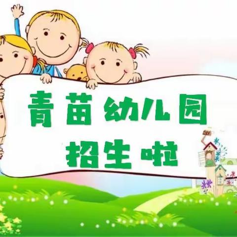 青苗🌱幼儿园招生啦