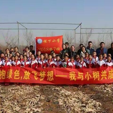 拥抱绿色，放飞梦想——我与小树共成长