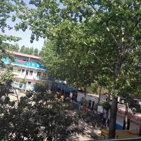 3·12植树节，植绿     护绿    我植树    我快乐