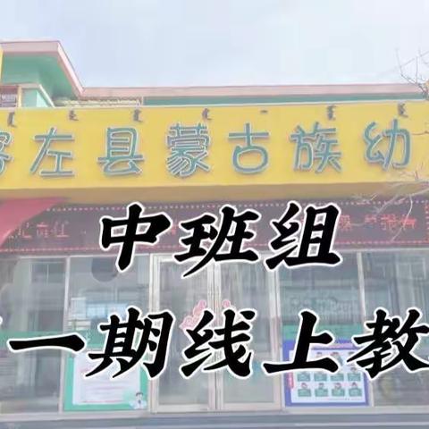 “疫情难阻春风暖，线上研学学意浓”——蒙古族幼儿园中班组线上教研活动