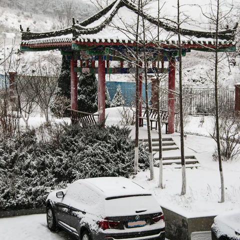 小区的雪景