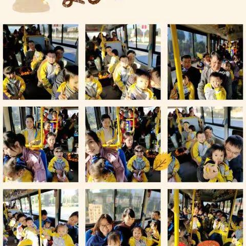 万婴中班组—快乐亲子游🍂