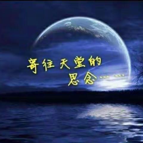 格调美篇专辑
