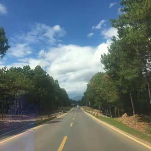 身回来，心在木里