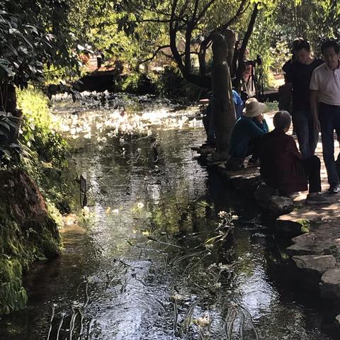 丰泽植物园2019.8.17