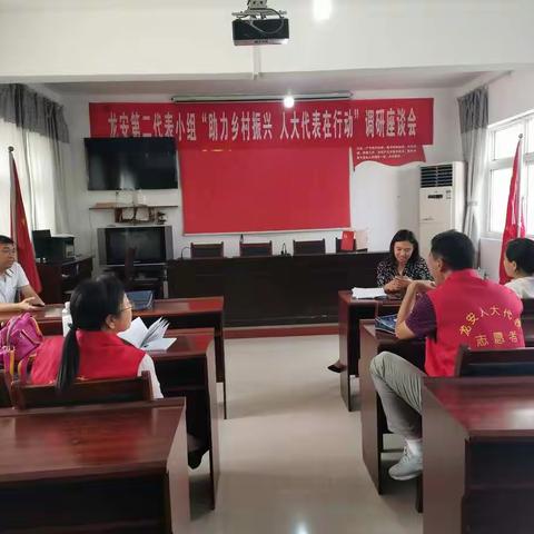 助乡村振兴  人大代表在行动