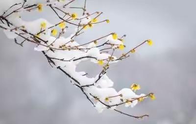 落叶欲归根底下，奈何风紧去无边。