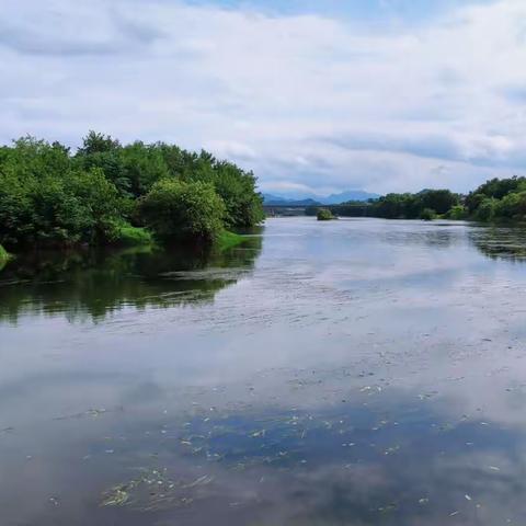 行踪掠影(三十一)