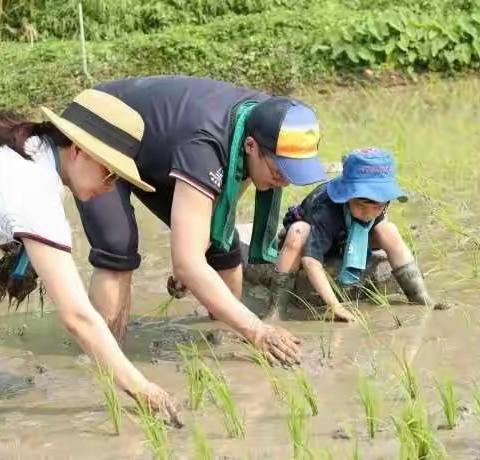 快乐做家务，劳动最光荣——西台幼儿园大一班五月劳动月