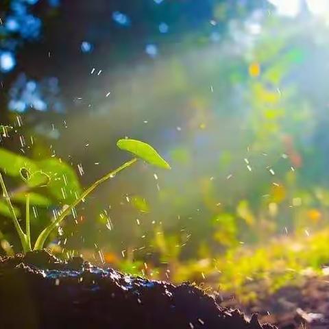 中小学教师职业道德规范