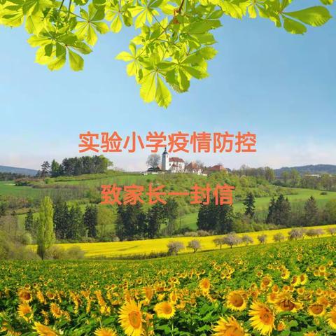 旬邑县实验小学疫情防控致家长的一封信