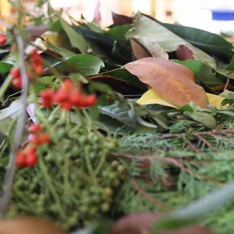 晨东世纪园大班组《走进秋天——叶脉手工创意制作》主题活动…🎉🎈 💅