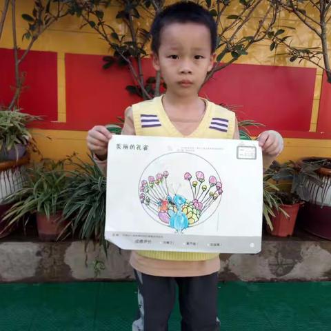 孔雀开屏