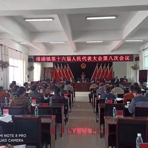 排浦镇第十六届人民代表大会第八次会议胜利召开