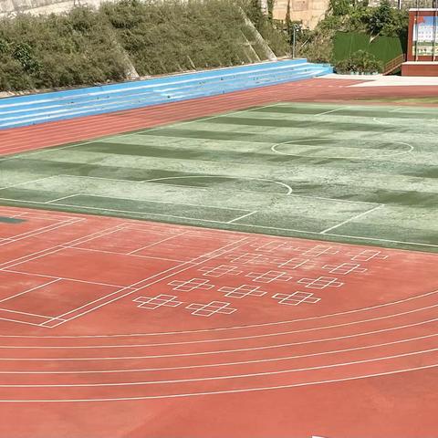 记录点滴，见证成长的精彩——三年级学生在校一日常规