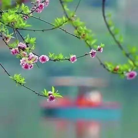 一年级三班《诗意的三月》