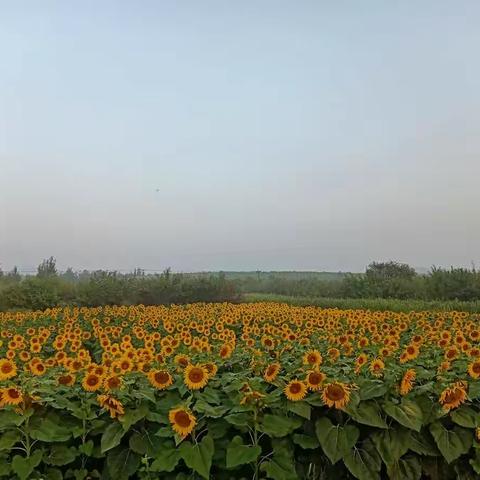 采撷五彩时光坚定前行方向