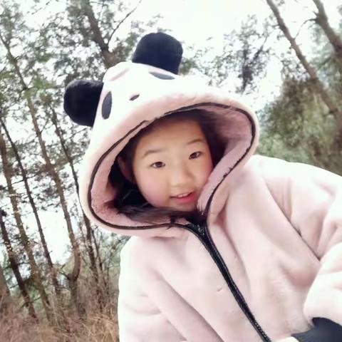 萍萍的寒假生活