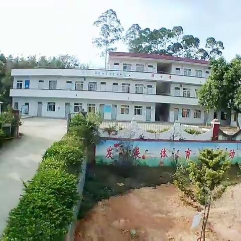 共战疫情，以“静”待花开——化州市宝圩镇仓板小学致全体师生及家长的一封信