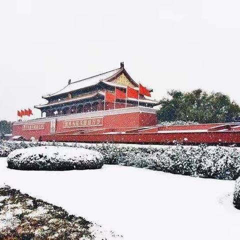 【丝雨散文诗诗苑同题散文诗.寒梅素雪伴冬行】雪漫京城