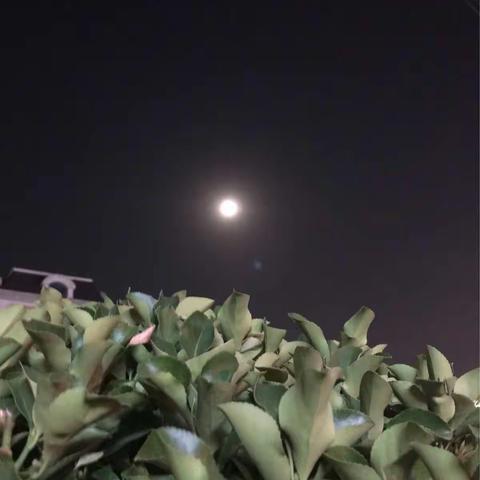 张涵蓉的传统节日“中秋情”