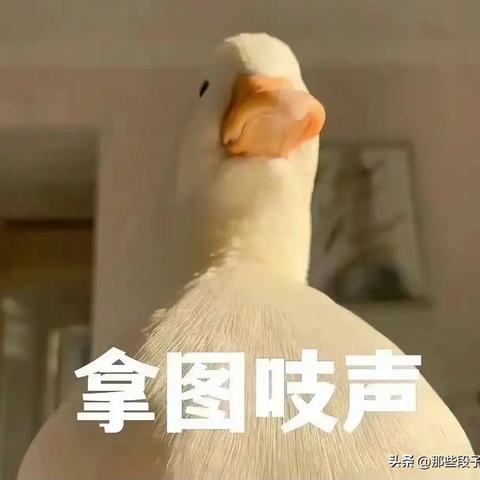 人间清醒     清醒一点