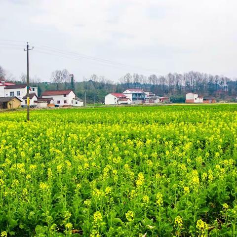 日 逛 四 景 快 乐 游