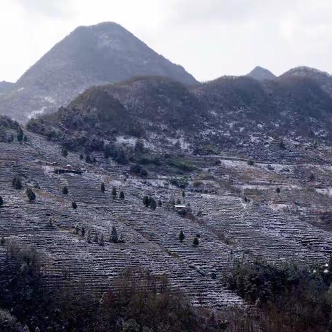 法 镇 赏 残 雪