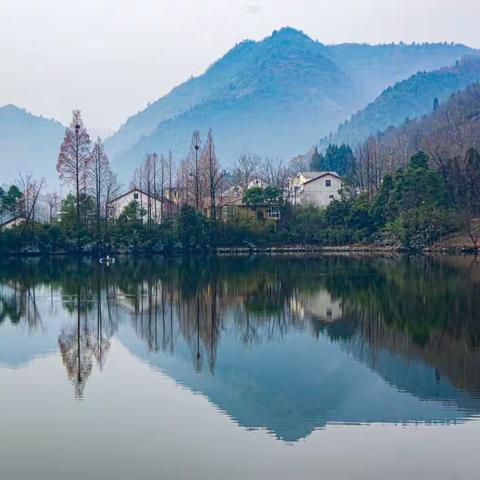 元 宵 节 前 逛 新 集