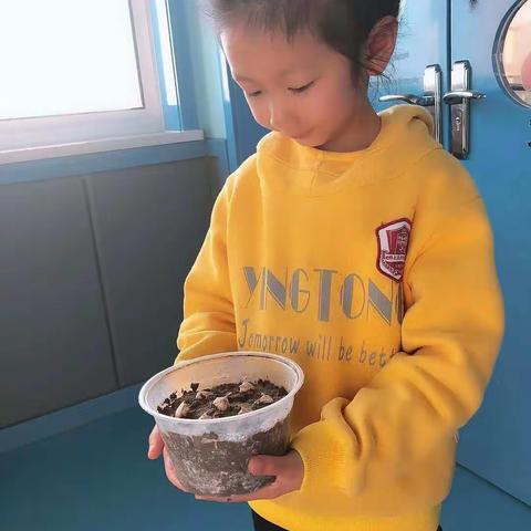 春风吹，你们笑