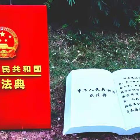 民法典 让我们的生活更美好——党建双强担使命系列活动之一