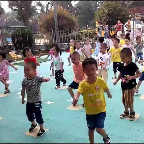 中班第二周精彩片段