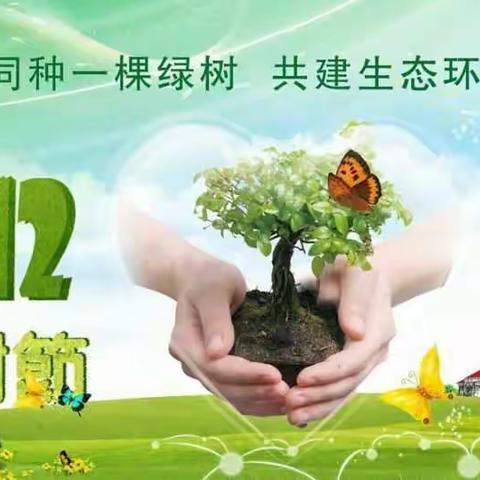 樟树幼教集团新华幼儿园中班第四周精彩